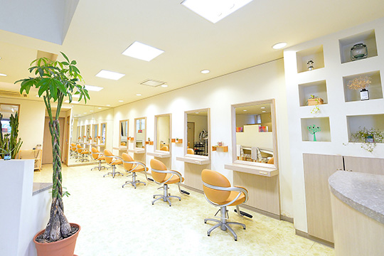 salon image