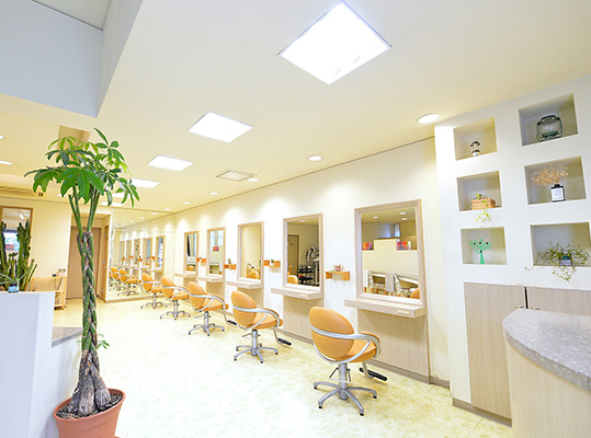 光の差し込む明るい店内